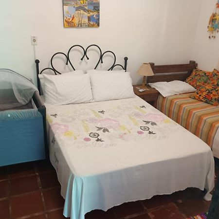 Casa No Morro - Charme Em Meio A Natureza Pertinho Da Praia 3 Dormitorios Сан-Себастьян Екстер'єр фото